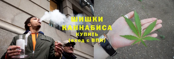 Альфа ПВП Новозыбков