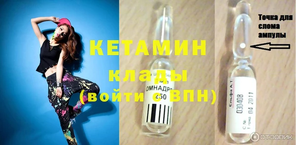сатива Новодвинск
