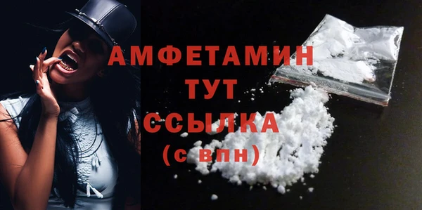 сатива Новодвинск