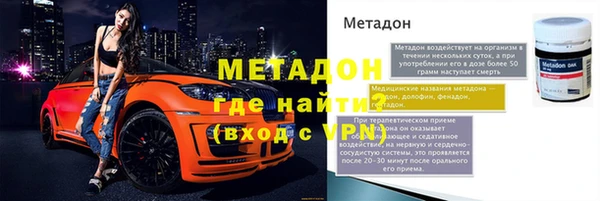 сатива Новодвинск