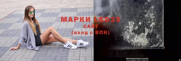 Альфа ПВП Новозыбков
