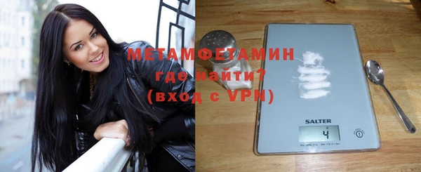 сатива Новодвинск