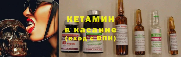 сатива Новодвинск