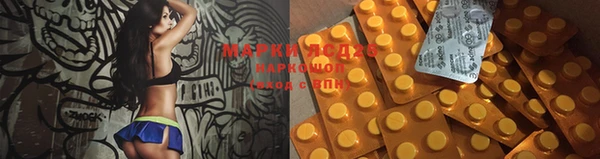 Альфа ПВП Новозыбков