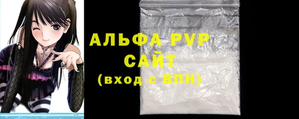 сатива Новодвинск