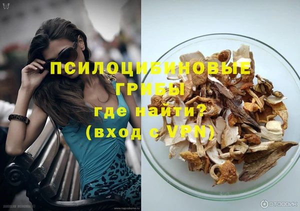 сатива Новодвинск