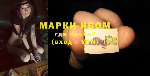 сатива Новодвинск