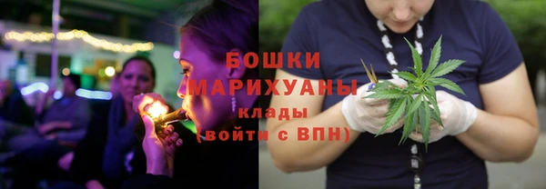 Альфа ПВП Новозыбков