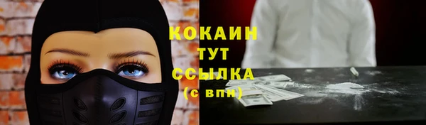 сатива Новодвинск