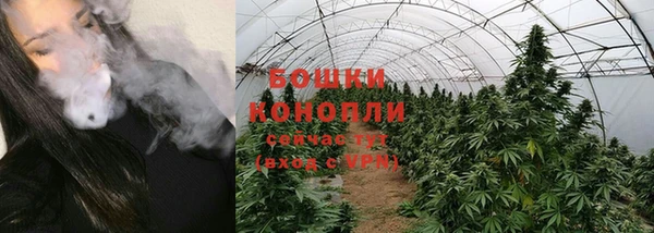 Альфа ПВП Новозыбков