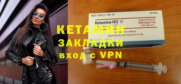 сатива Новодвинск