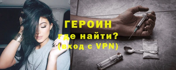 сатива Новодвинск