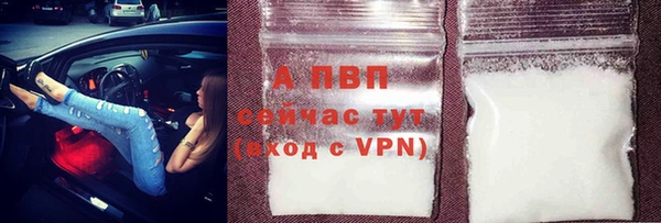 Альфа ПВП Новозыбков